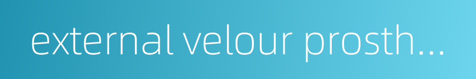 external velour prosthesis的同义词