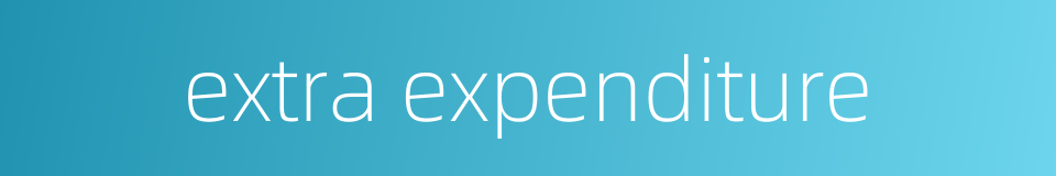 extra expenditure的同义词