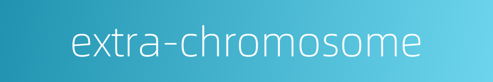 extra-chromosome的同义词