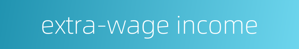 extra-wage income的同义词