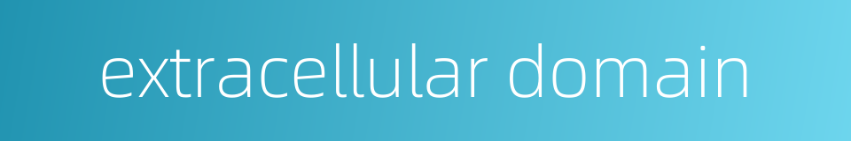 extracellular domain的同义词