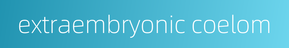 extraembryonic coelom的同义词