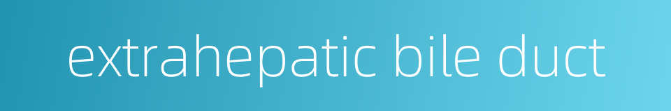 extrahepatic bile duct的同义词