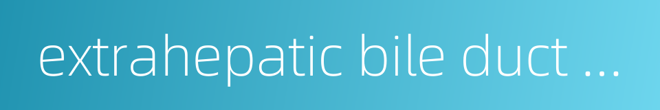 extrahepatic bile duct stone的同义词