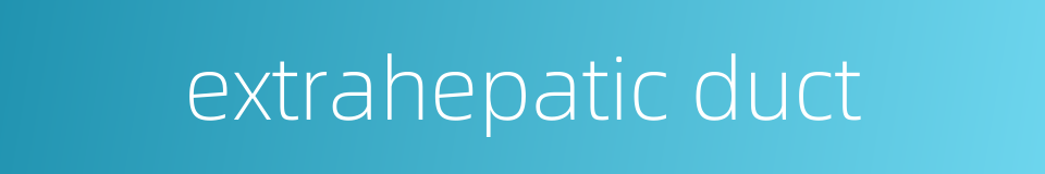 extrahepatic duct的同义词
