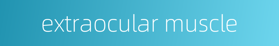 extraocular muscle的同义词