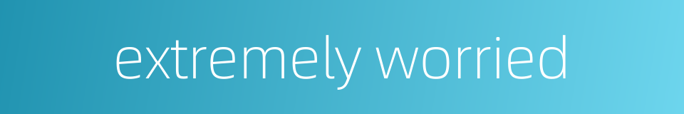 extremely worried的同义词