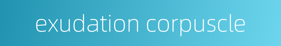 exudation corpuscle的同义词