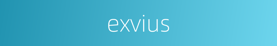 exvius的同义词