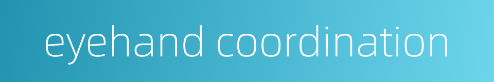 eyehand coordination的同义词