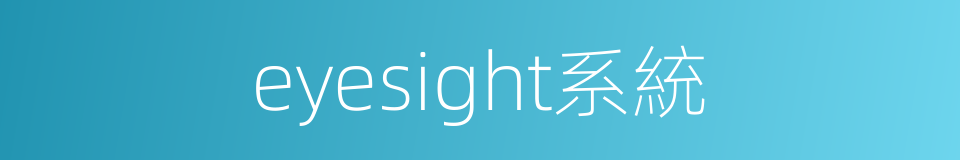 eyesight系統的同義詞