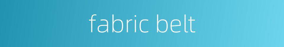 fabric belt的同义词