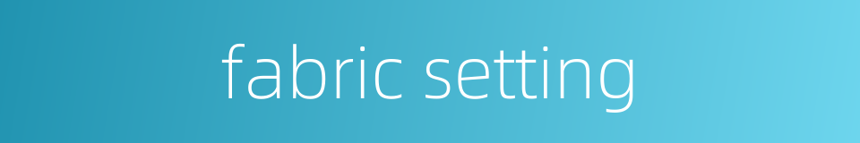 fabric setting的同义词