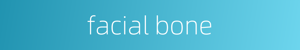 facial bone的同义词