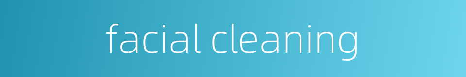 facial cleaning的同义词