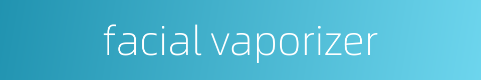 facial vaporizer的同义词