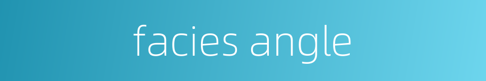 facies angle的同义词