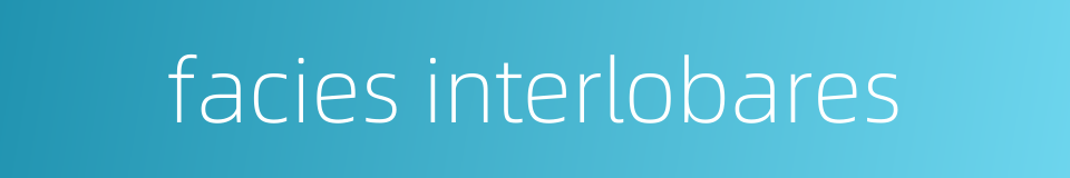 facies interlobares的同义词