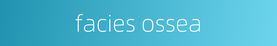 facies ossea的同义词