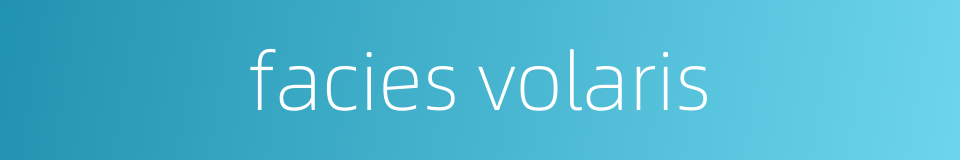 facies volaris的同义词