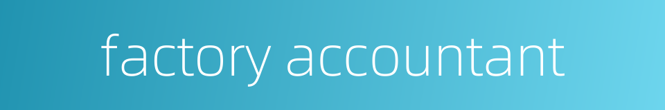 factory accountant的同义词