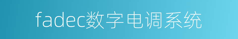 fadec数字电调系统的同义词