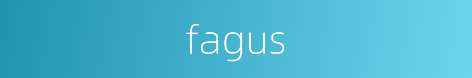 fagus的同义词