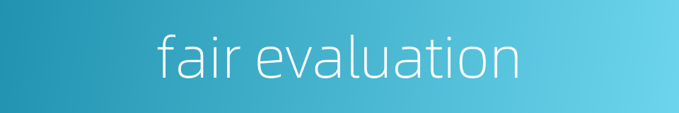 fair evaluation的同义词