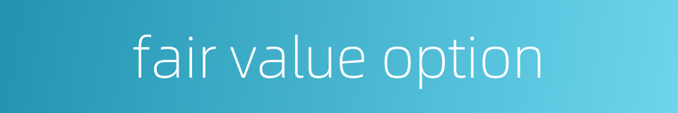 fair value option的同义词
