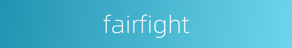 fairfight的同义词