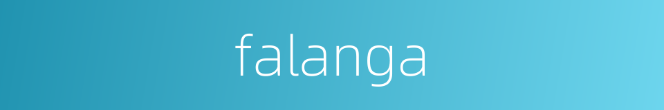 falanga的同义词