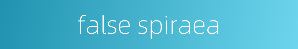 false spiraea的同义词
