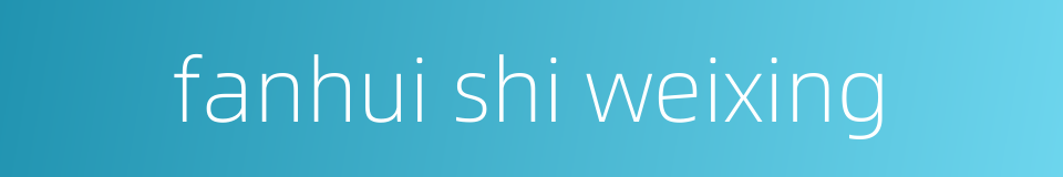 fanhui shi weixing的同义词