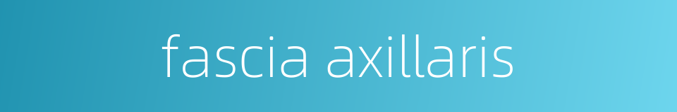 fascia axillaris的同义词