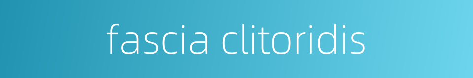 fascia clitoridis的同义词