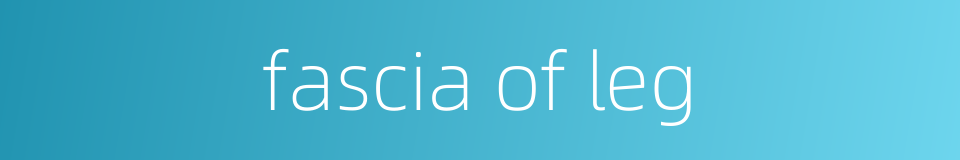 fascia of leg的同义词