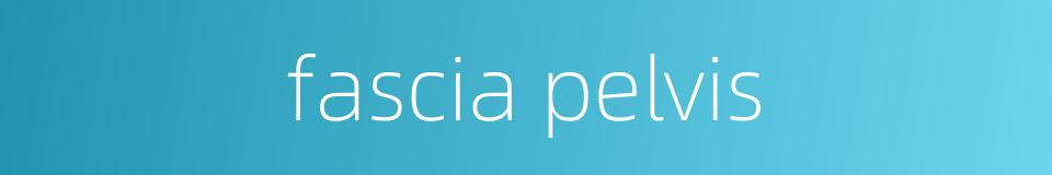 fascia pelvis的同义词