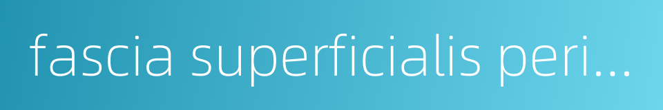 fascia superficialis perinel的同义词