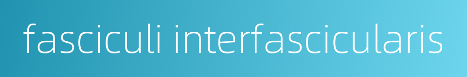 fasciculi interfascicularis的同义词