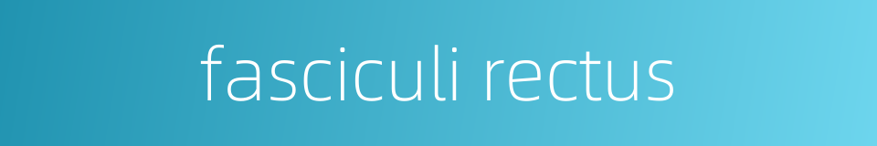 fasciculi rectus的同义词