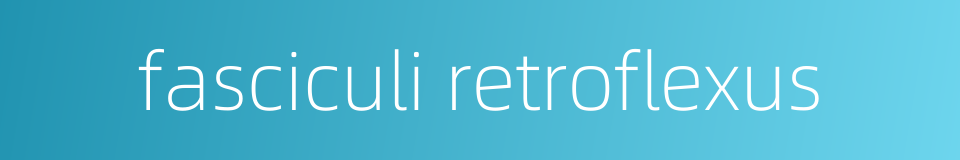 fasciculi retroflexus的同义词