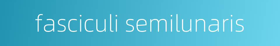 fasciculi semilunaris的同义词