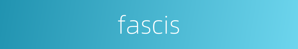 fascis的同义词