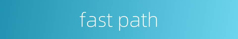 fast path的同义词