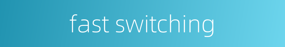 fast switching的同义词