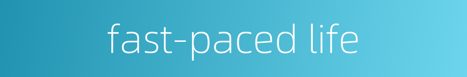 fast-paced life的同义词