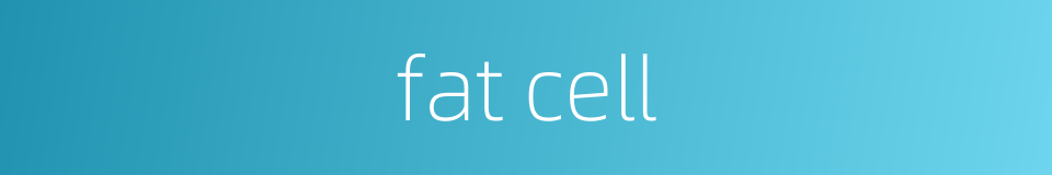 fat cell的同义词