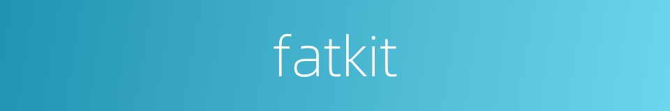 fatkit的同义词
