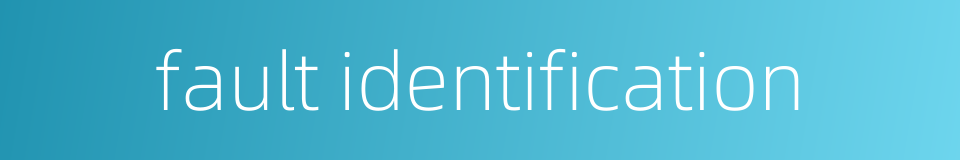 fault identification的同义词