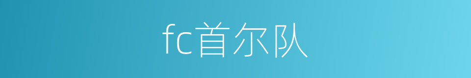 fc首尔队的同义词